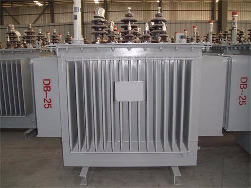 白山S13-100KVA/10KV/0.4KV油浸式变压器